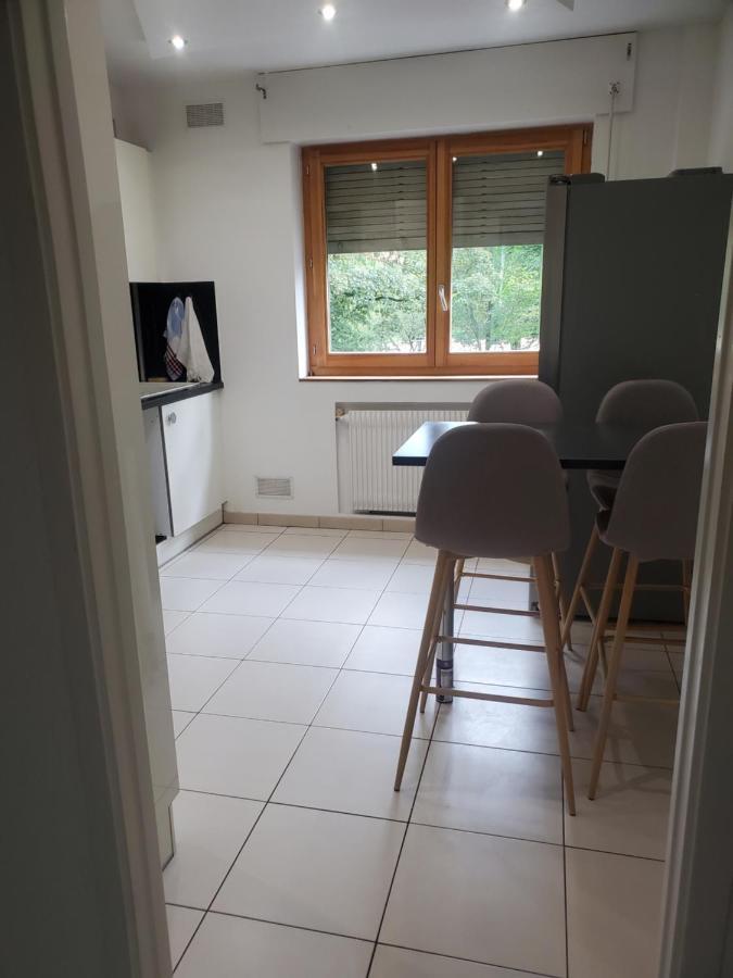 Appartement Meuble Aux Portes De Geneve Annemasse Exterior photo